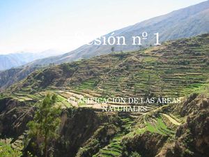 ÁREAS NATURALES PROTEGIDAS DEL PERÚ