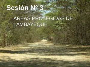 Áreas protegidas de Lambayeque