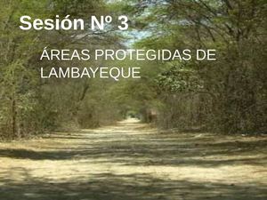 AREAS PROTEGIDAS DE LAMBAYEQUE
