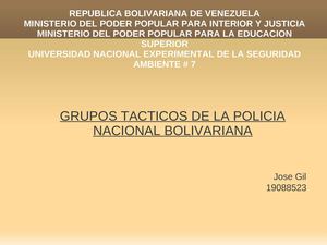 grupos tacticos diaspositivas