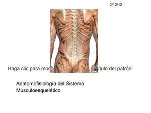 Fisioanatomía Músculo Esquelético