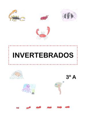 Invertebrados
