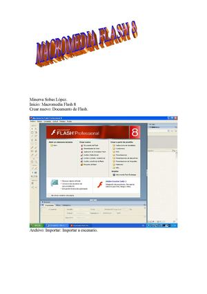 Macromedia flash 8