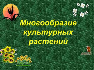 Многообразие культурных растений.