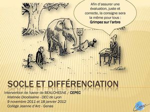 Socle et différenciation