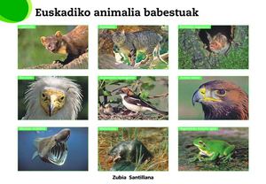 INGURUNEKO HORMA IRUDIAK