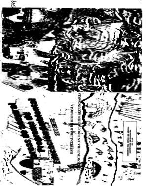Tareas de apoyo al Programa de educación ambiental. Licenciatura en Educación Secundaria, especialidad en biología sexto semestre