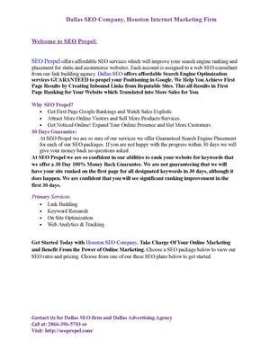 Dallas SEO firm and Dallas  Advertising Agency