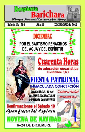 DICIEMBRE 2011