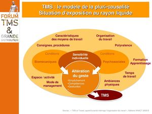 TMS : modèle de la pluricausalité - Forum TMS IDF - 16/11/2011