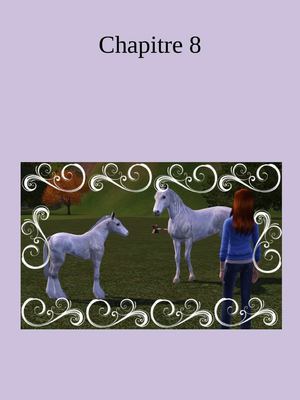 l'heritage chapitre 8