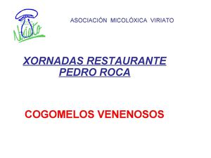 COGOMELOS VENENOSAS. PEDRO