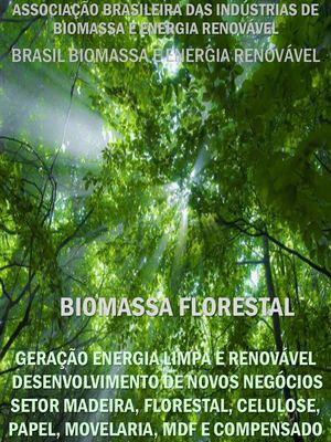 Biomassa Florestal 