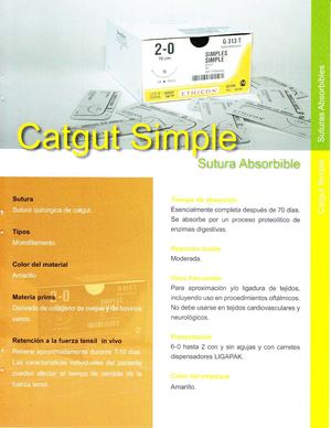 Calaméo - 02 Catgut Simple