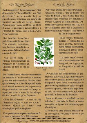 CAA-Y - Le thé des indiens - O chá dos índios 