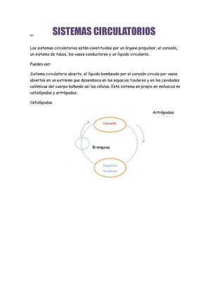 SISTEMAS CIRCULATORIOS