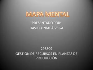 mapa mental