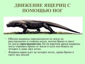 Жизнь пресмыкающихся