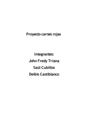 OFERTA Y DEMANDA CARNES ROJAS