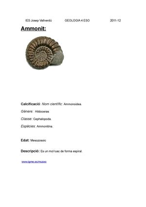 Treball sobre focils 2011/2012