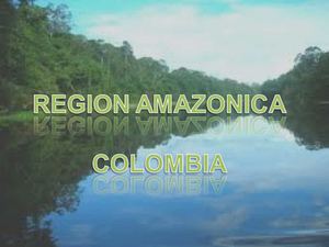 REGION AMAZONICA