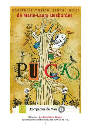 Dossier de présentation & Diffusion - Puck