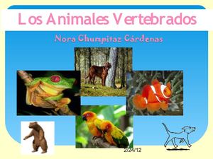 Animales vertebrados