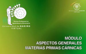 CARNES - AGROINDUSTRIA