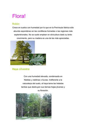 Flora y Fauna de el  PiriNeo Aragonés!!