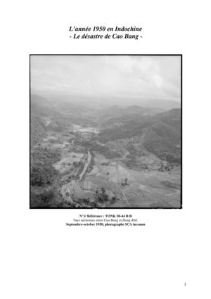 L’année 1950 en Indochine - Le désastre de Cao Bang -