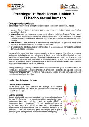 El Hecho sexual humano