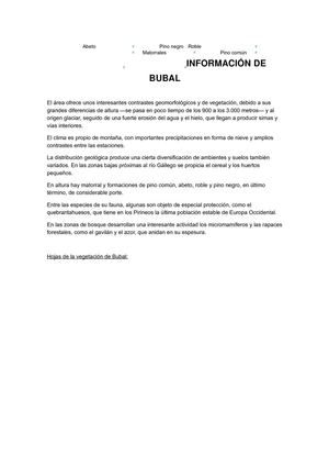 INFORMACIÓN DE BUBAL