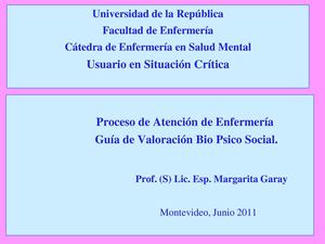 PAE GUÍA VALORACIÓN 2012