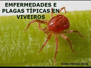 Emfermedades e plagas en viveiros