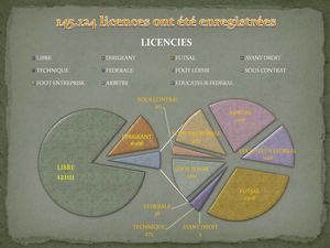 Statistiques licences 2010-2011