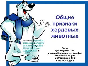 Общая характеристика хордовых