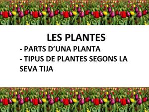 PARTS D'UNA PLANTA