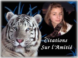 L'amitié - citations