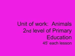 Animals