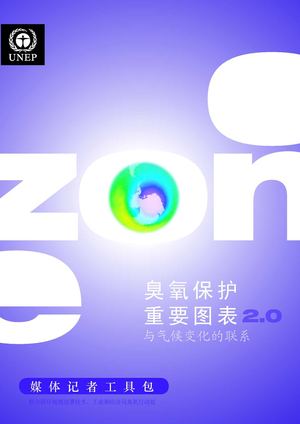 Vital Ozone Graphics 2-chinese