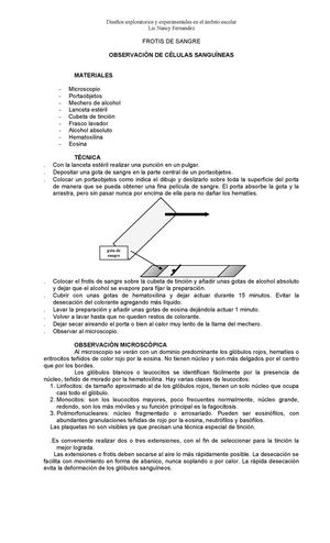 frotis de sangre