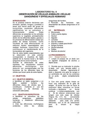 Observacion de celulas animales
