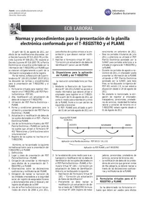 T-REGISTRO y el PLAME - PERU