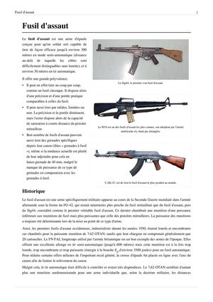 LE FUSIL D'ASSAUT
