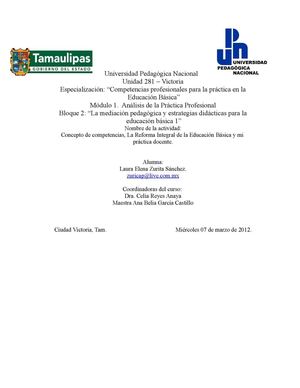 Concepto de competencias, la RIEB y mi práctica docente.