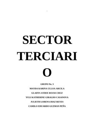 SECTOR TERICARIO 