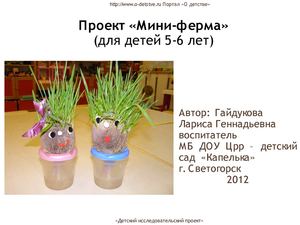Проект "Мини-ферма"