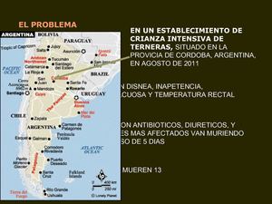 intoxicación por monensina en bovinos