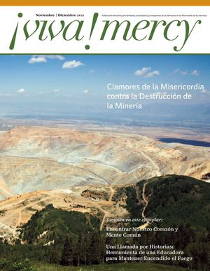noviembre-diciembre 2011