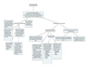mapa  conceptual de redes
